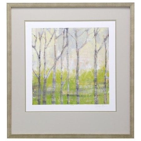 Birch Trees in Spring